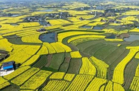 鄉(xiāng)村振興的冷思考：誰來振興？為誰振興？振興到什么程度？